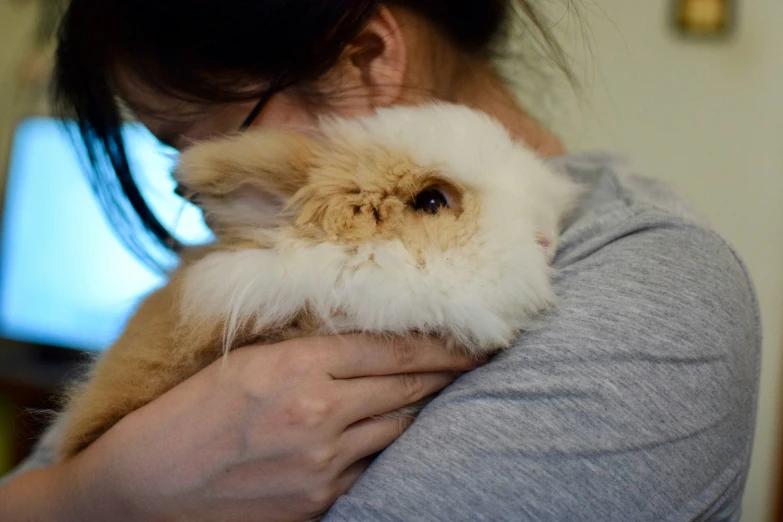 a woman holding a small fluffy animal next to a desk