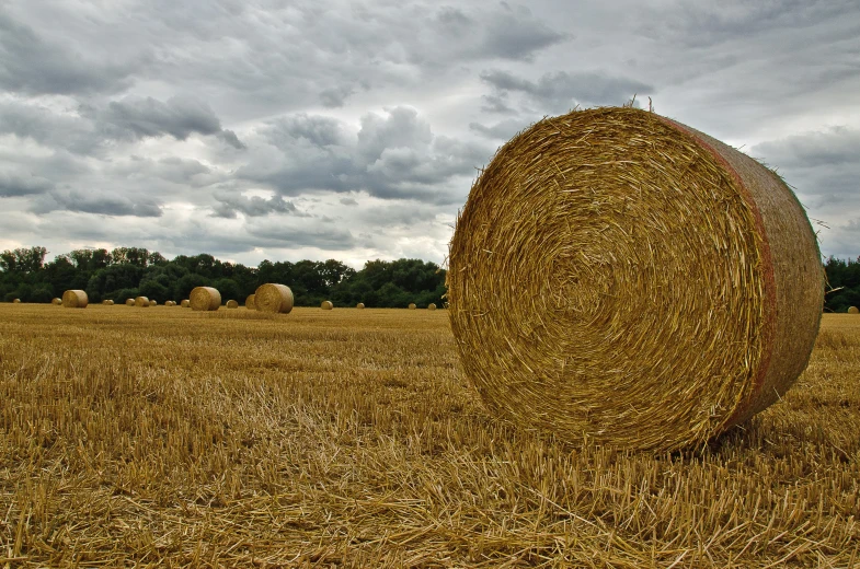 hay bails sitting on the side of a road