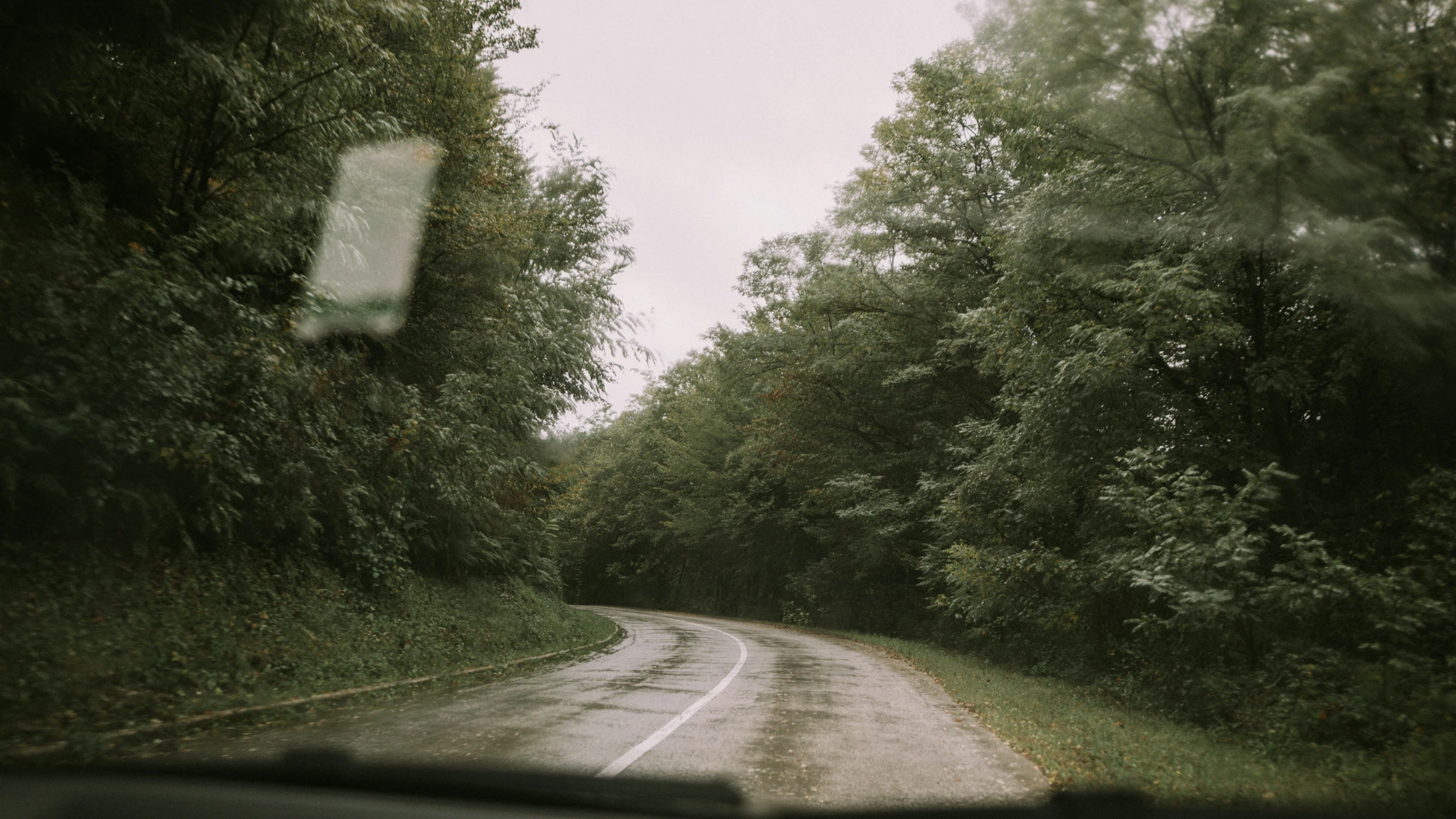 a very small road in the middle of a forest