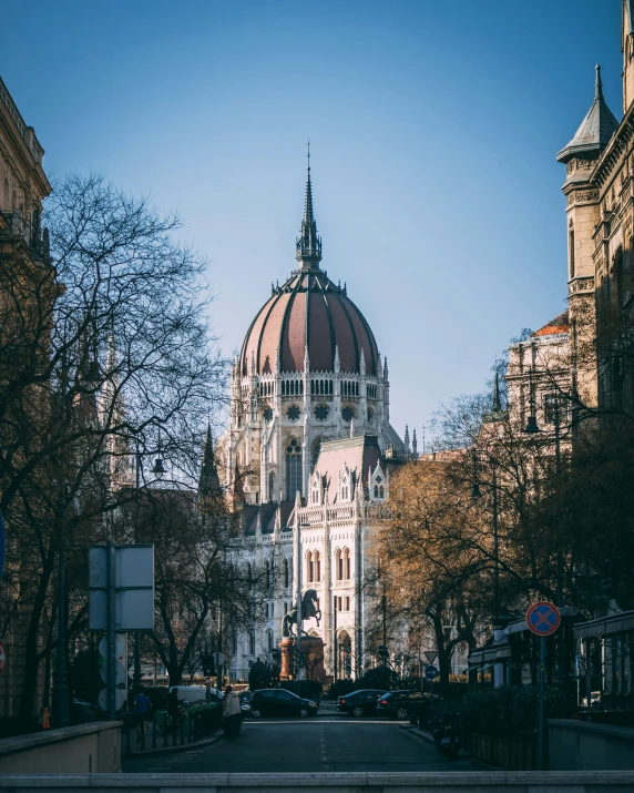 a cathedral on a hill in the middle of trees