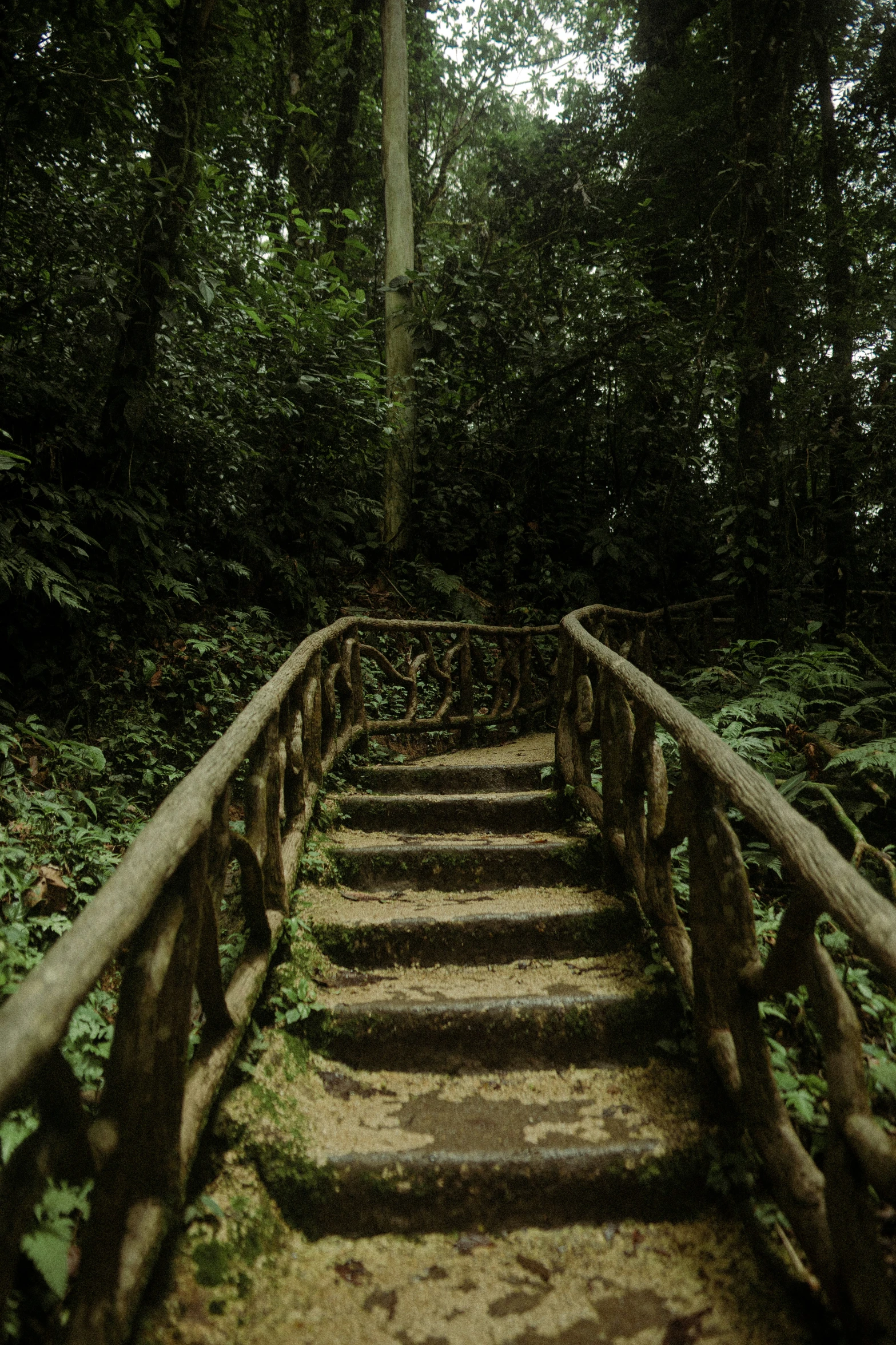 a bunch of stairs with stairs between them