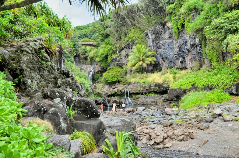 several people walking along the river by some trees