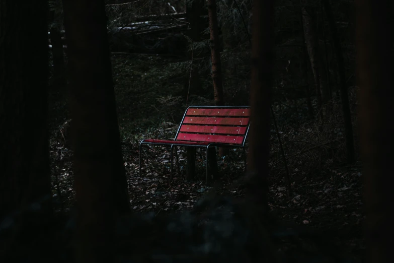 a bench sitting under some trees in the dark