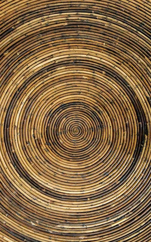 an old bamboo wallpaper with a spiral design