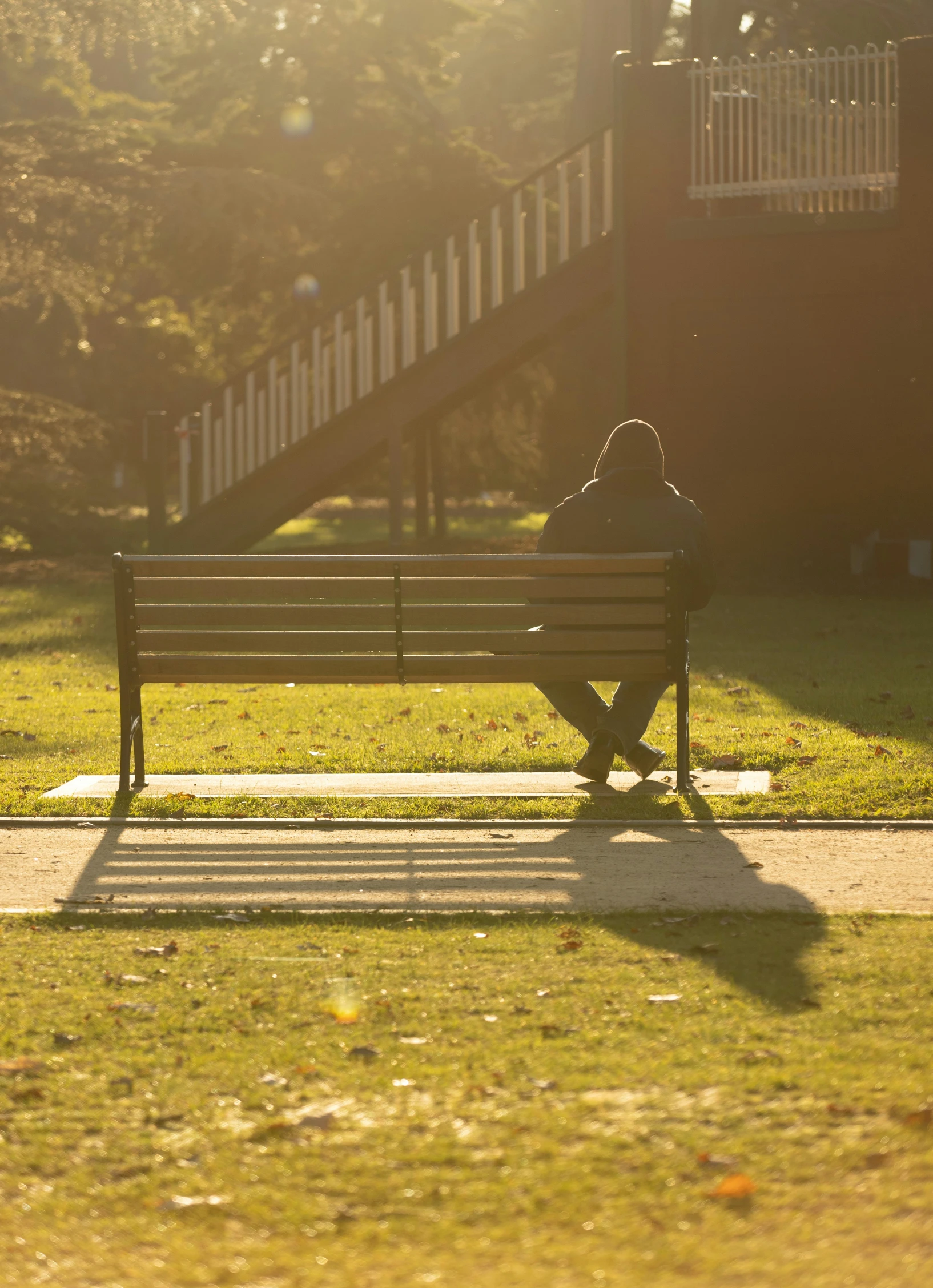 there is a person sitting on a bench looking at the grass