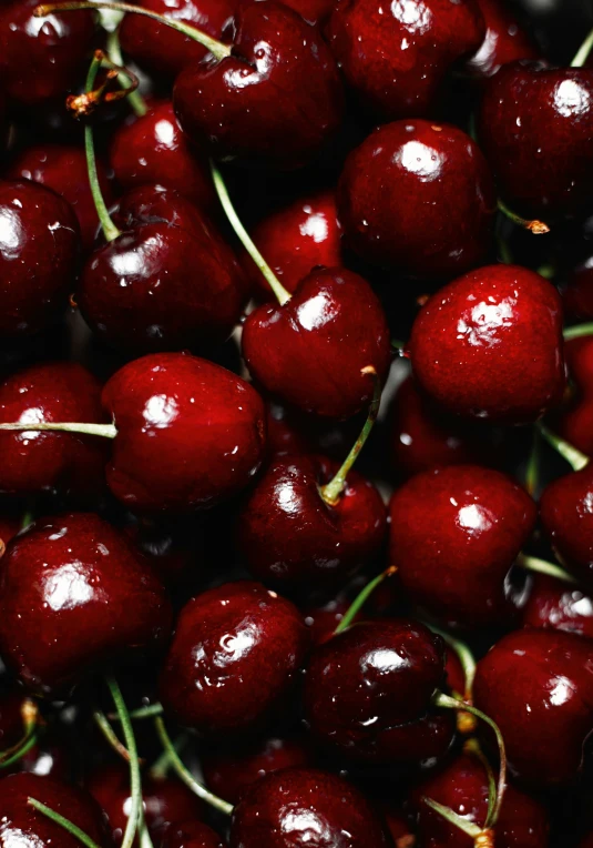 a bunch of cherries with water droplets