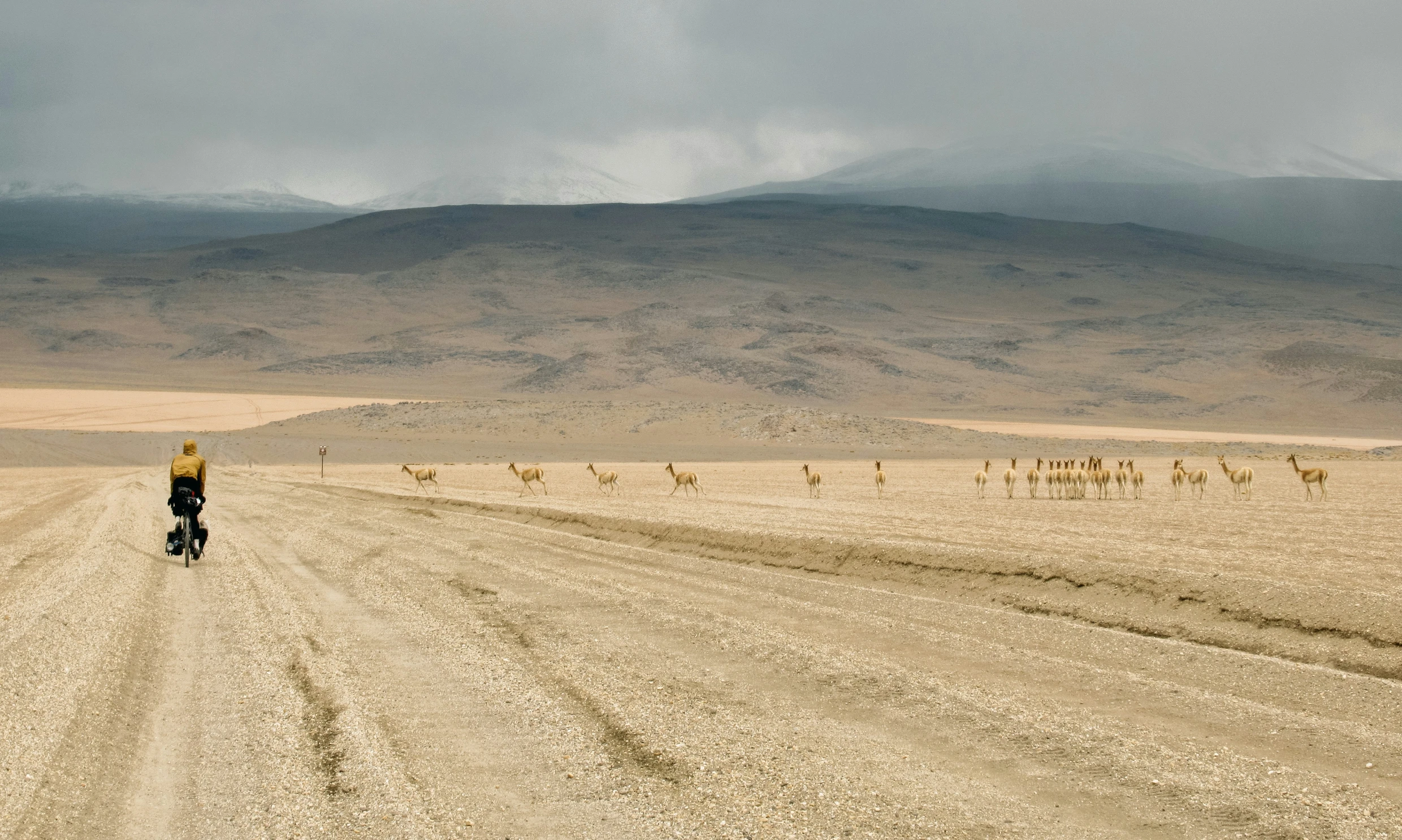 a bicyclist rides down an empty desert road