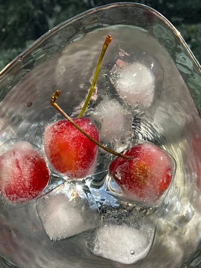 three cherries in ice cubes on a black table