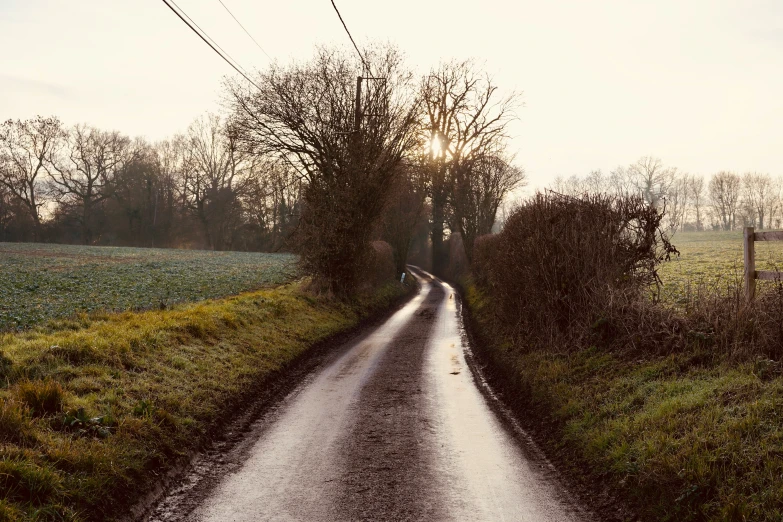 a wet road with no traffic signs on the side of it