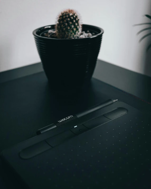 a table with a small cactus and pen on it