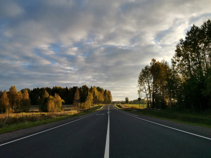 an empty road next to a bunch of trees on a cloudy day