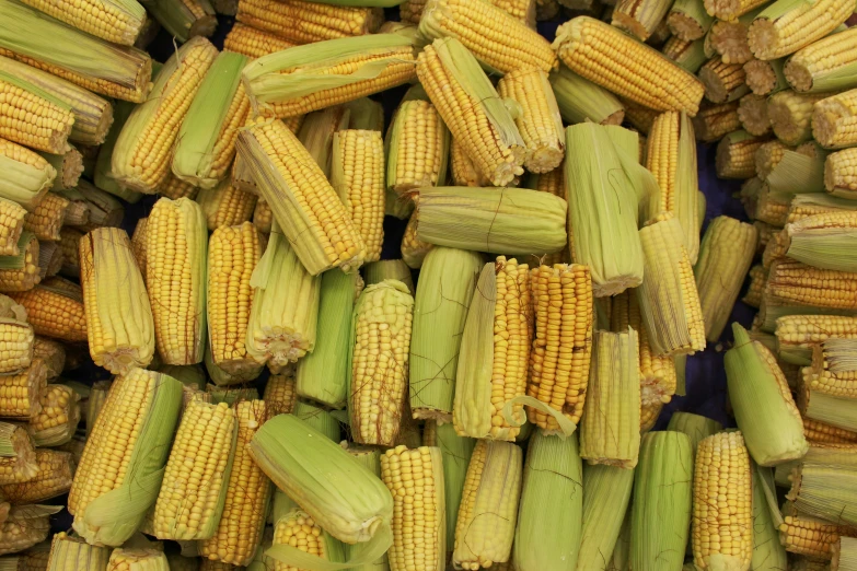 corn on the cob is in the middle of some other vegetables