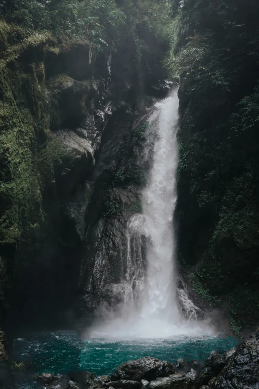 the beautiful waterfall has green plants surrounding it