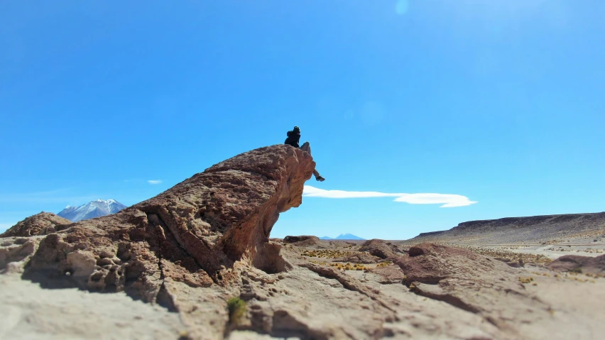 the dog is sitting on top of a rock