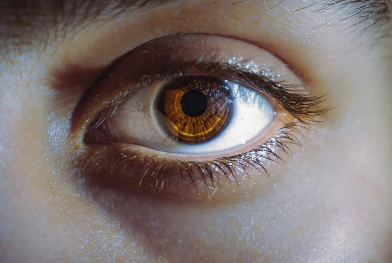 an orange and yellow eyeball shining in the light