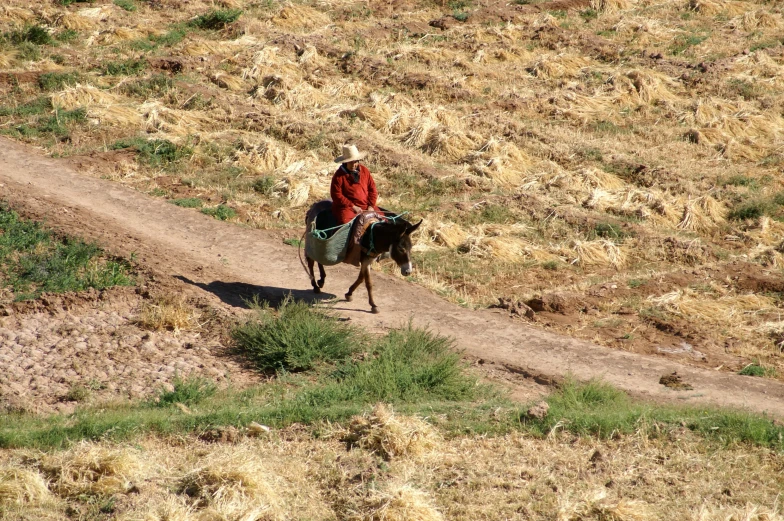 a person is riding a horse down the dirt road