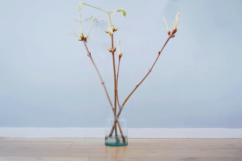 flowers in glass vase on wood floor with light grey walls