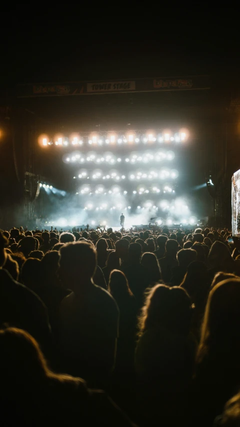 an audience at a concert in front of an artist's stage