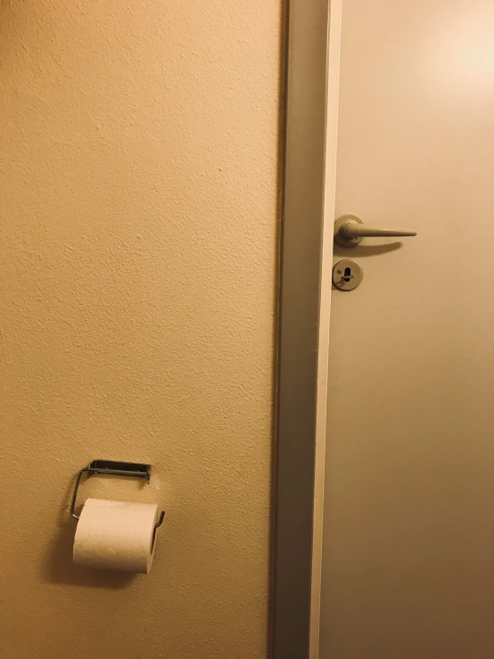 an empty roll of paper is hanging from a towel rack next to a closed door