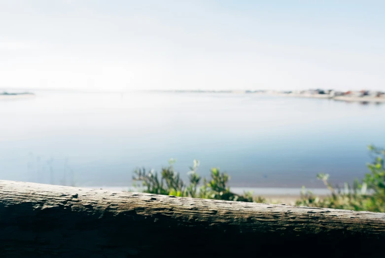 a piece of wood sitting on top of a river