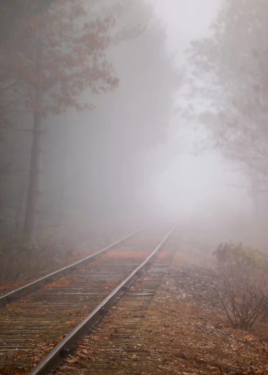 a train track with trees on the side and foggy sky