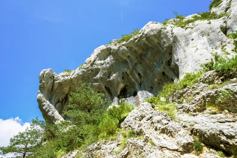 a rocky cliff with plants growing on top