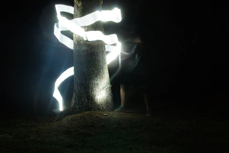 light paintings projected on a tree trunk in the dark