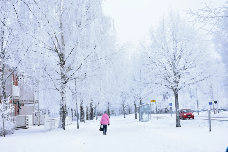 woman walking in the snow, carrying her purse