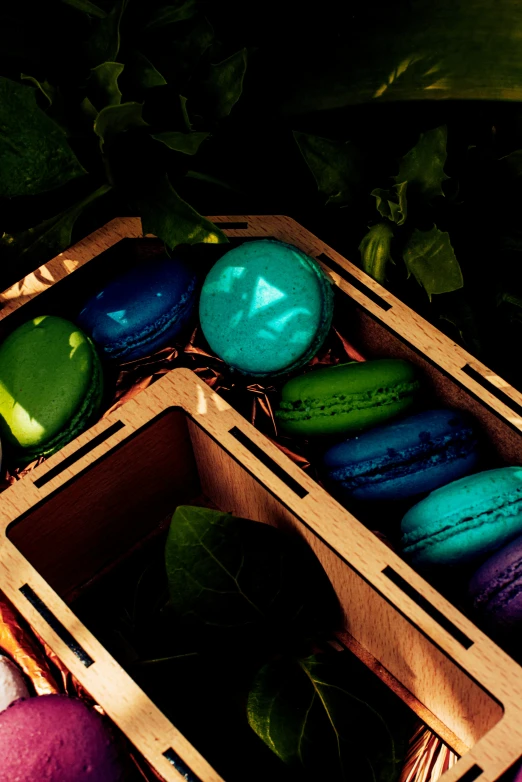 four wood boxes filled with colorful cookies sitting on top of leaves