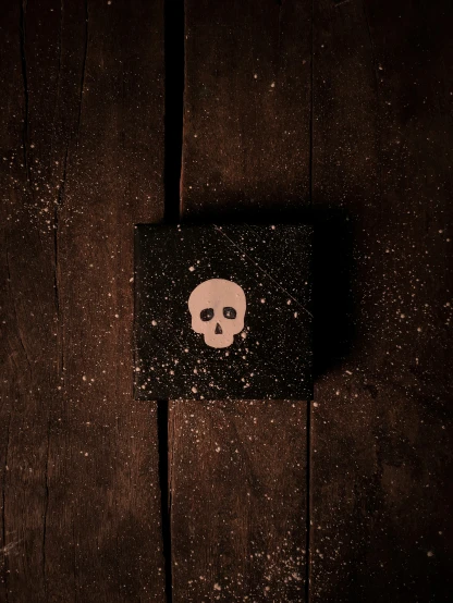 a skull shaped box sitting on the wood