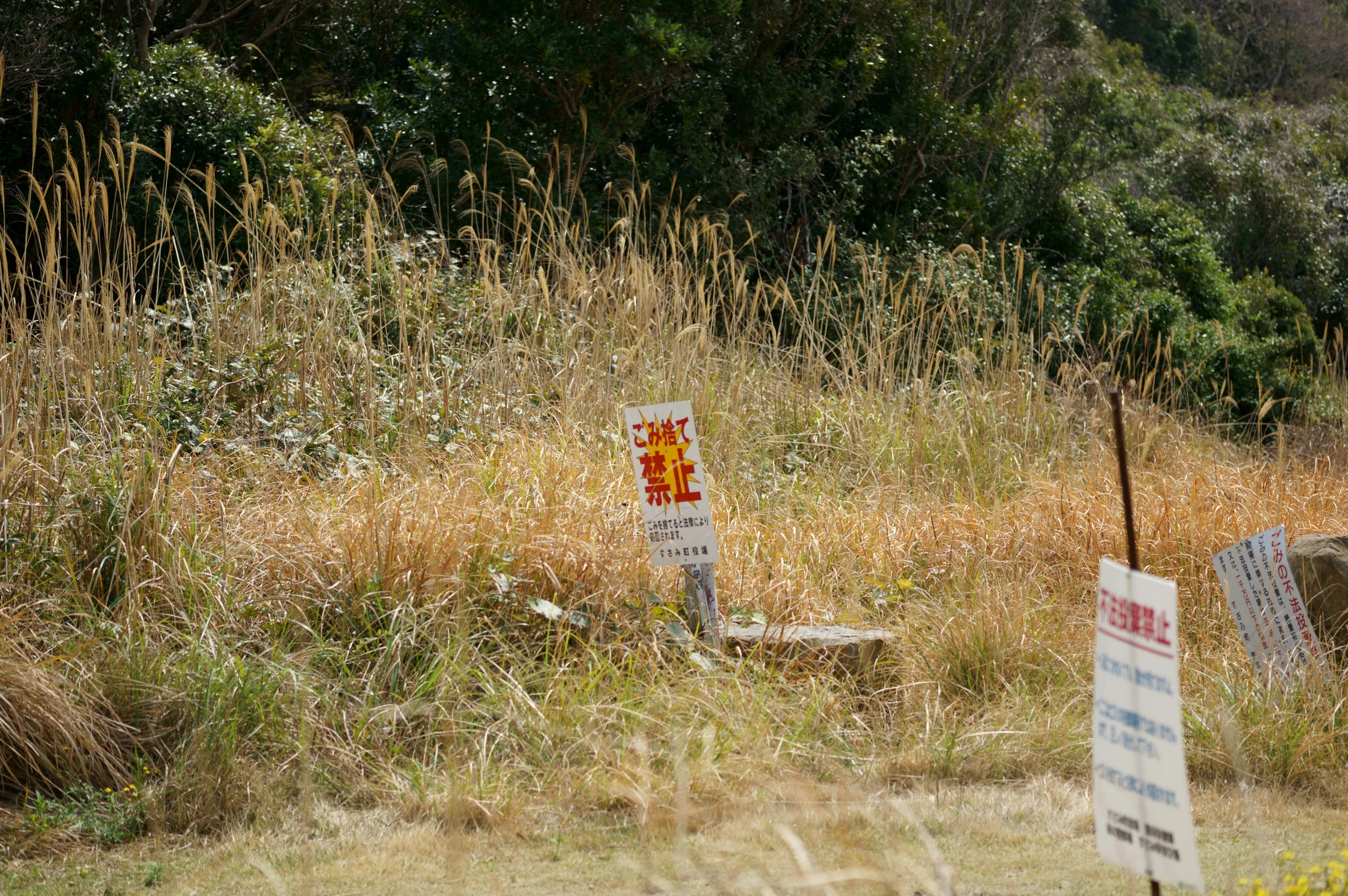 signs in front of some tall grass and some trees