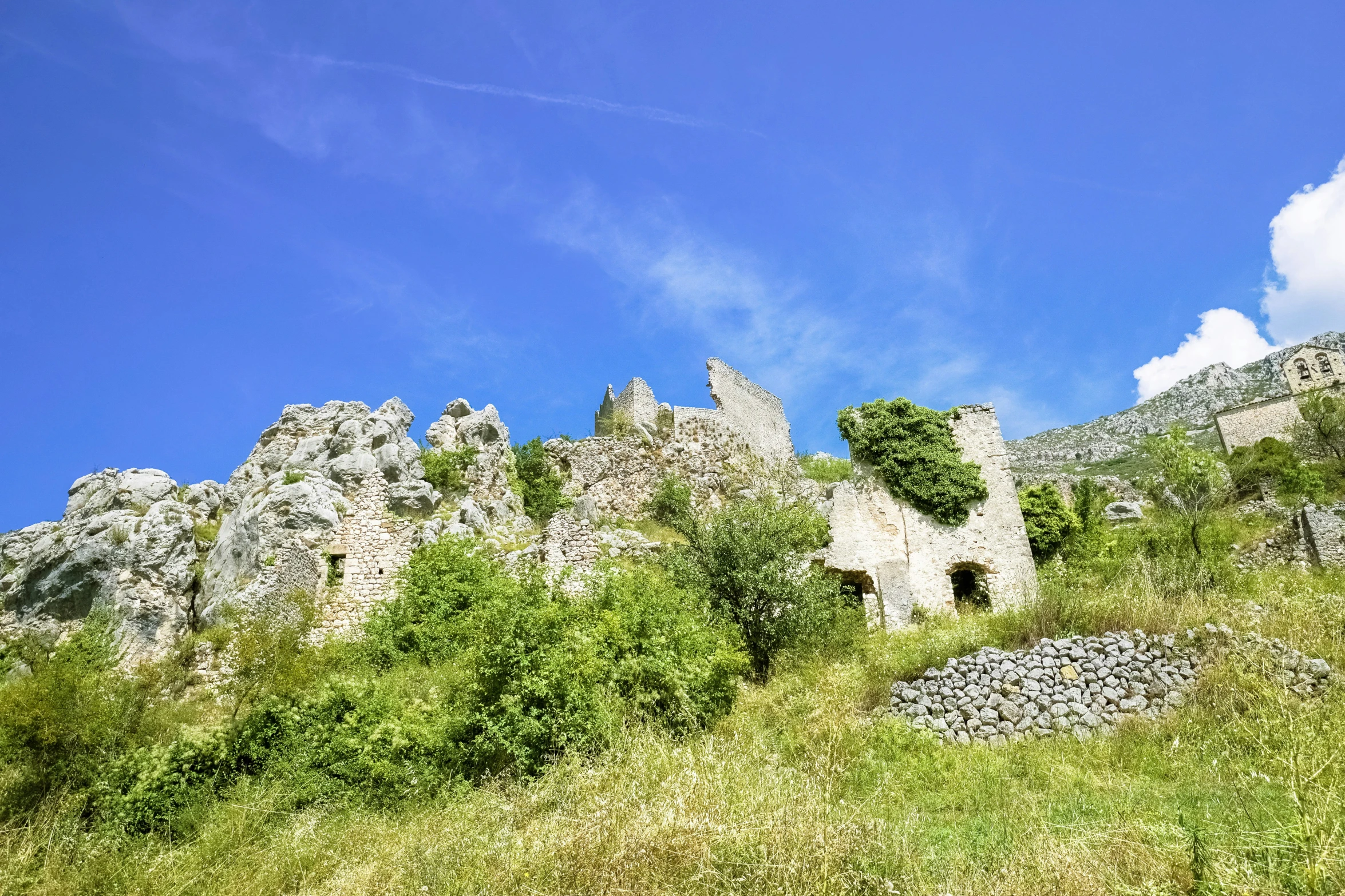 an ancient stone castle surrounded by tall green grass