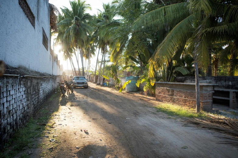 two vehicles are parked along a dirt road near palm trees