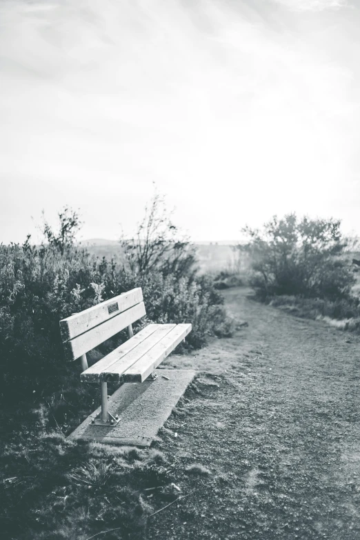 black and white po of a park bench sitting alone in the country