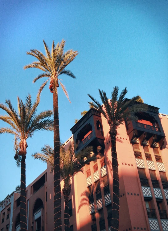 two palm trees next to a el and one of the buildings