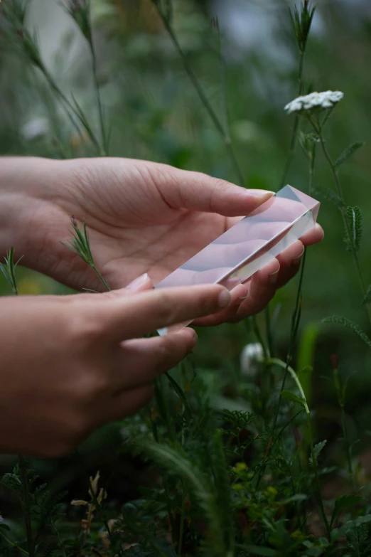 two hands holding a piece of paper with white flowers