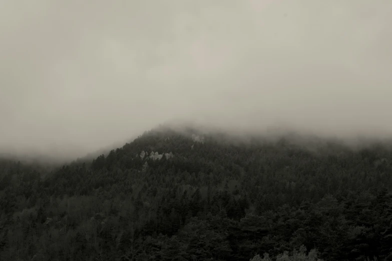 a mountain covered in trees in the middle of the day