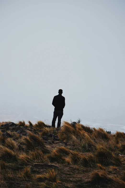 a man stands on a grassy hill looking out over the ocean