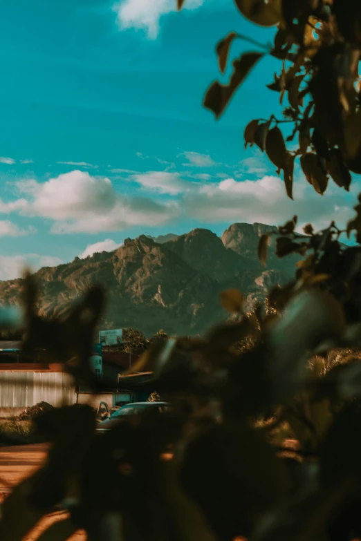 this is a view of the mountains and clouds through trees