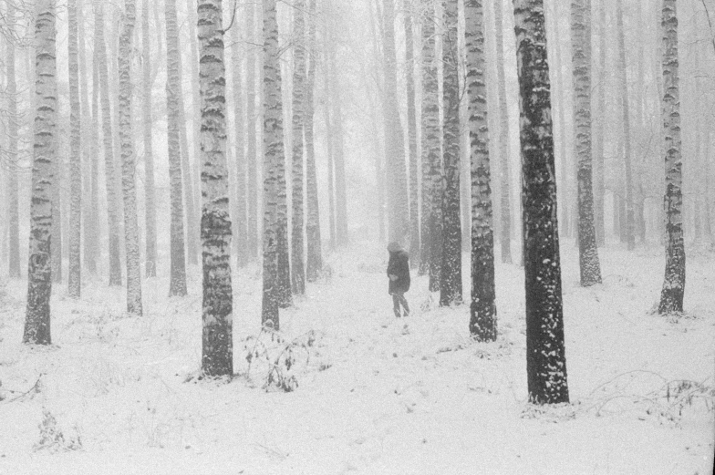 a man is walking through the woods in snow