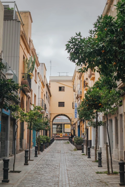 a street lined with yellow buildings and greenery