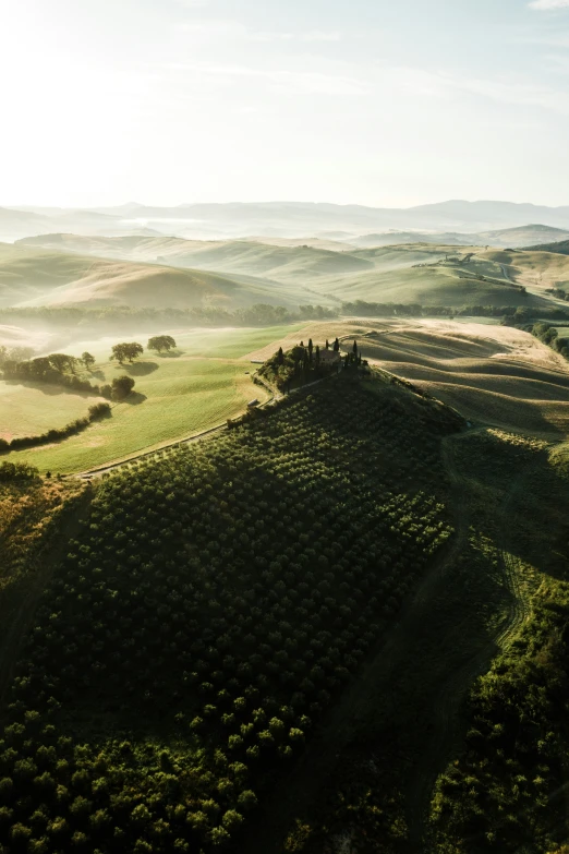 sun shining on the rolling hills and trees