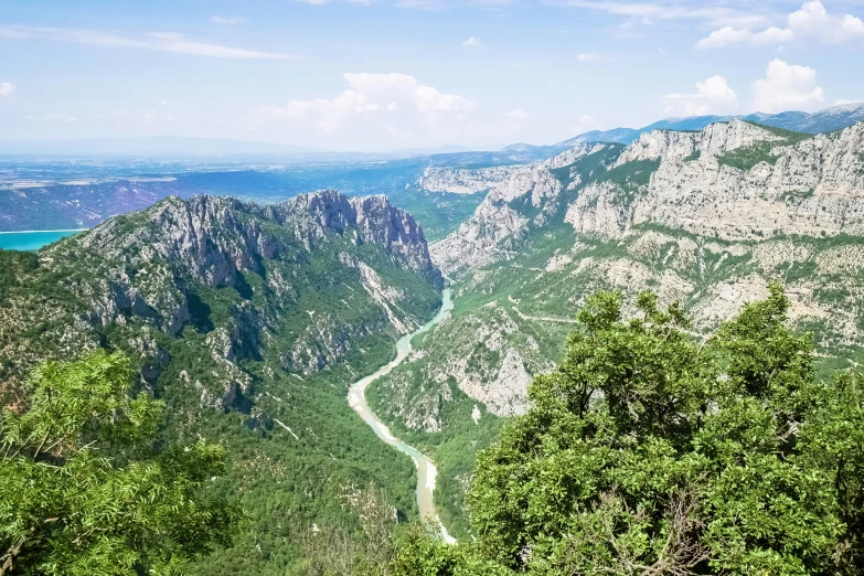 a road winds through the woods near the mountains