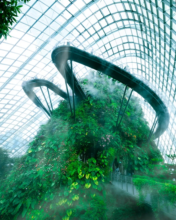 this is a tree covered with greenery under a huge glass