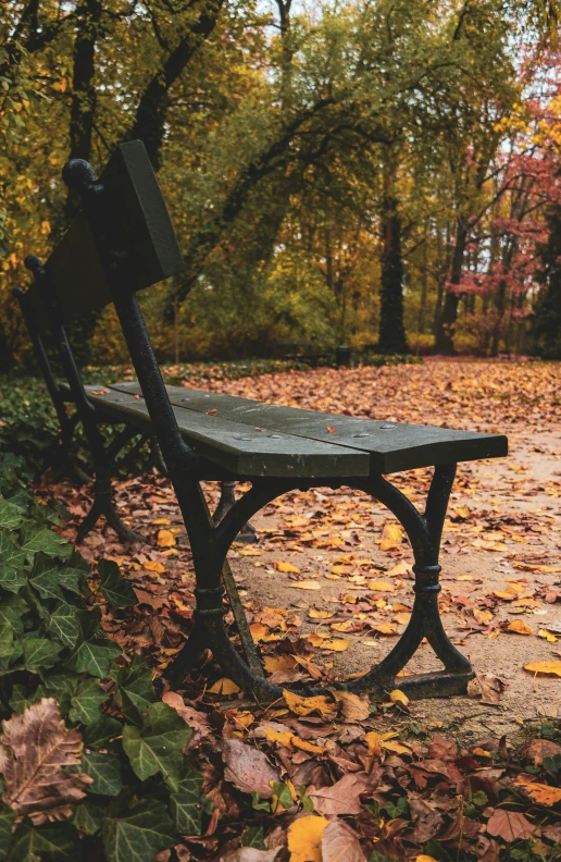 there is a bench in the park on the ground