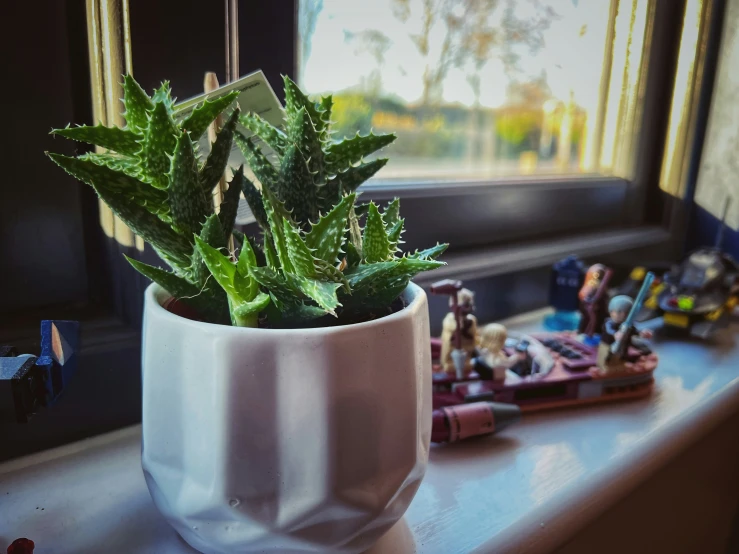 a potted plant on a windowsill near a window with a small figurines
