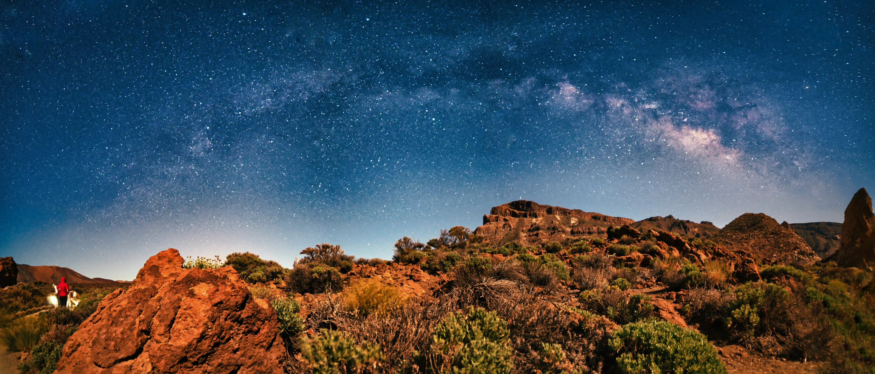 a beautiful night in the desert with some bright stars