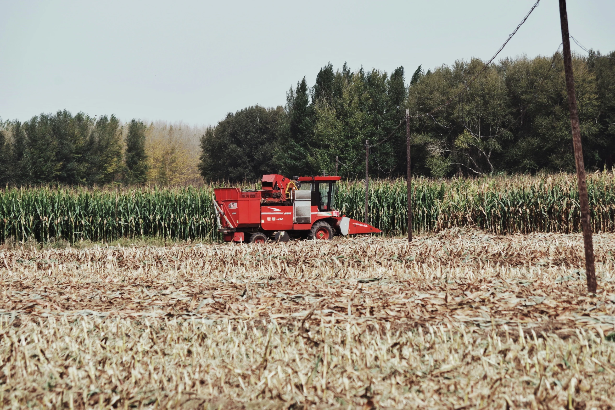 a tractor and some type of machine in a corn field