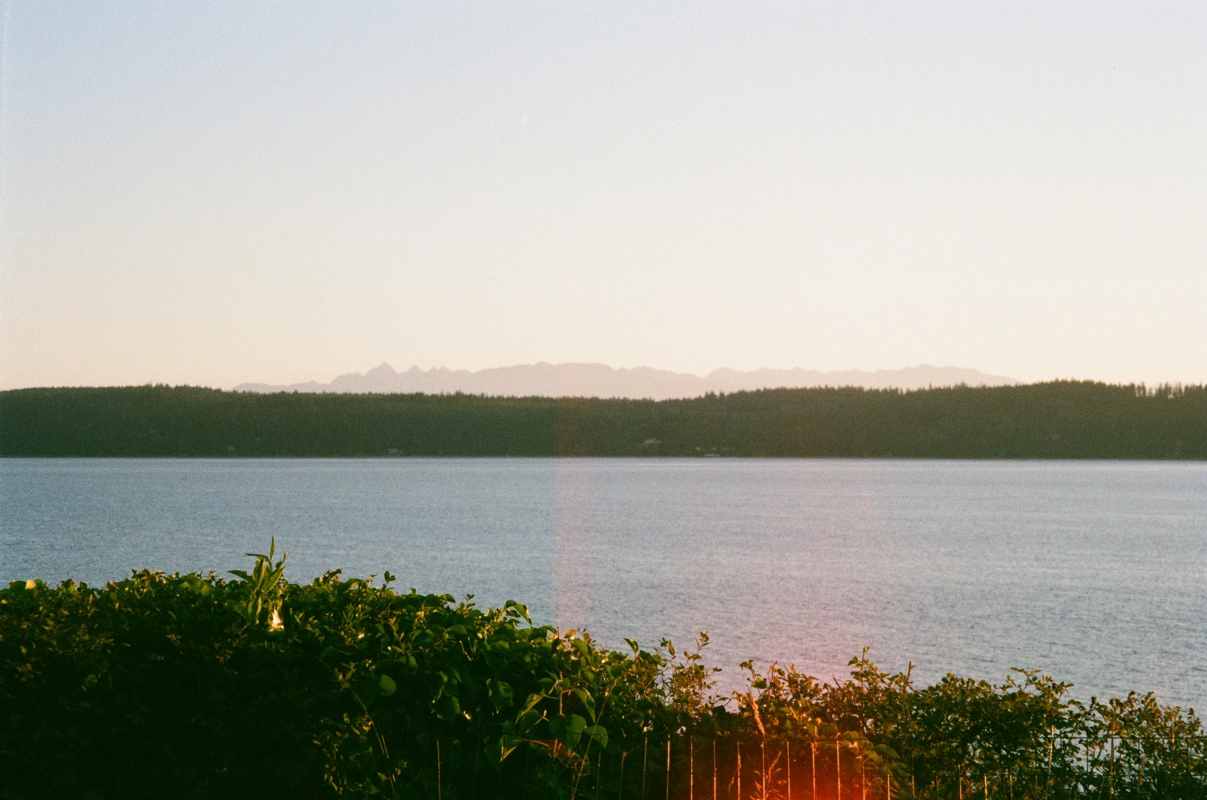 a small plane flies over the ocean and trees