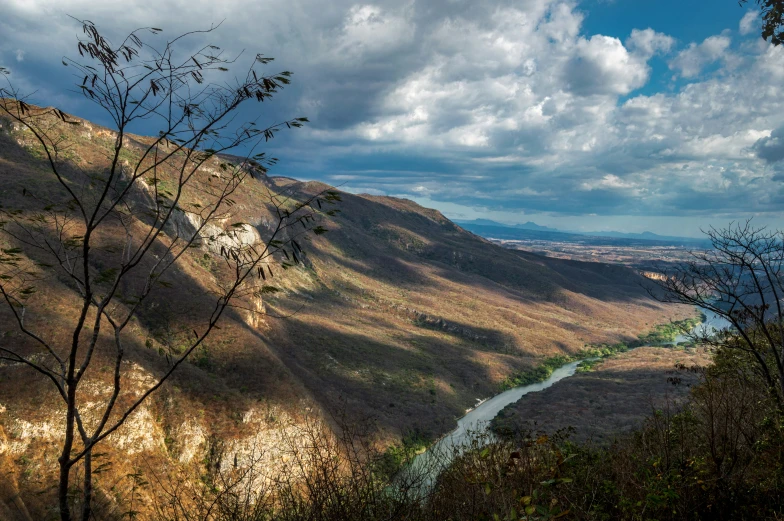 a river is flowing between hills surrounded by green grass and a tree